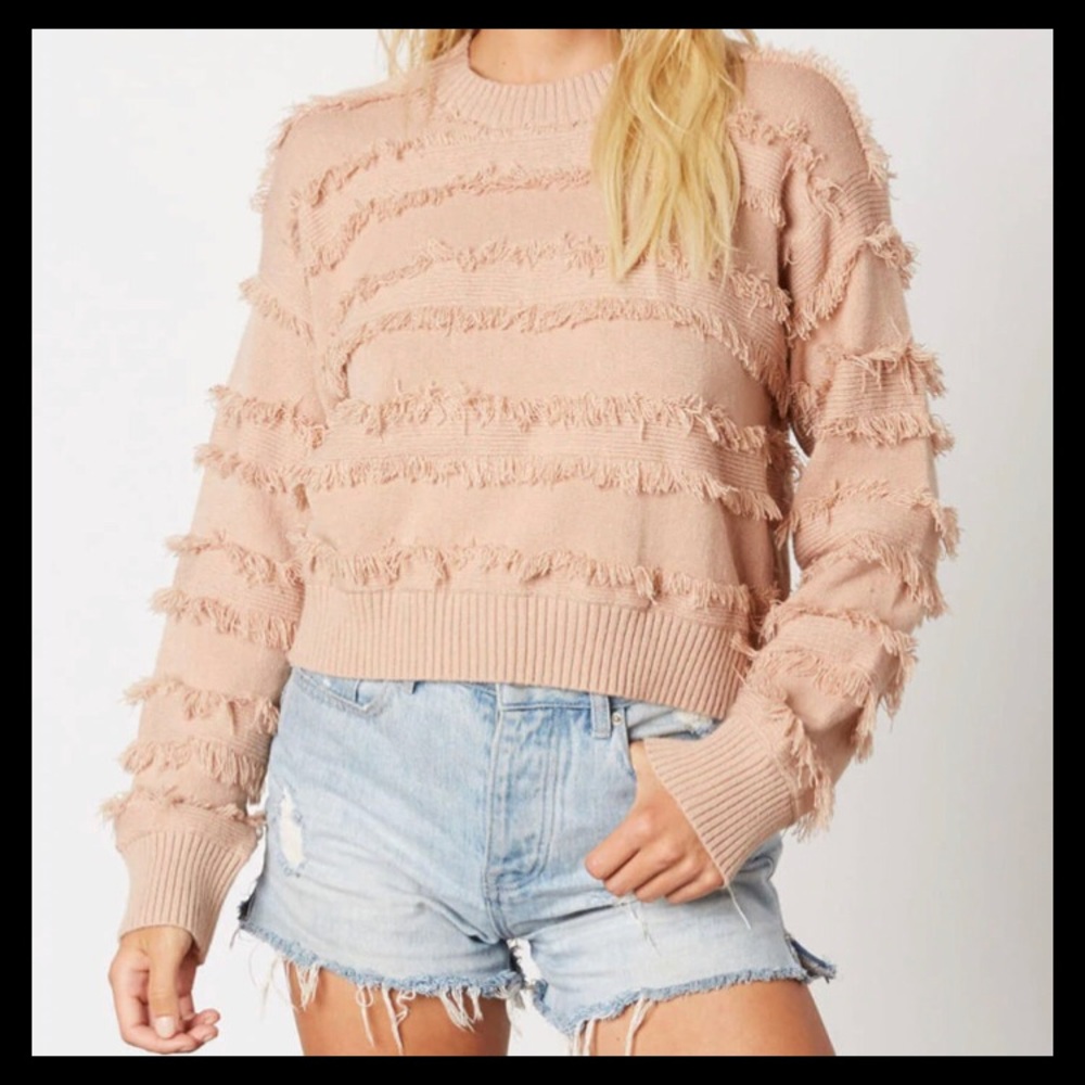 Contain candy la sweater!